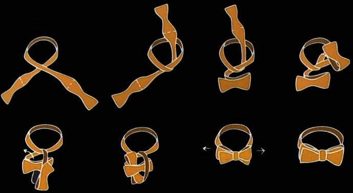 バタフライノット