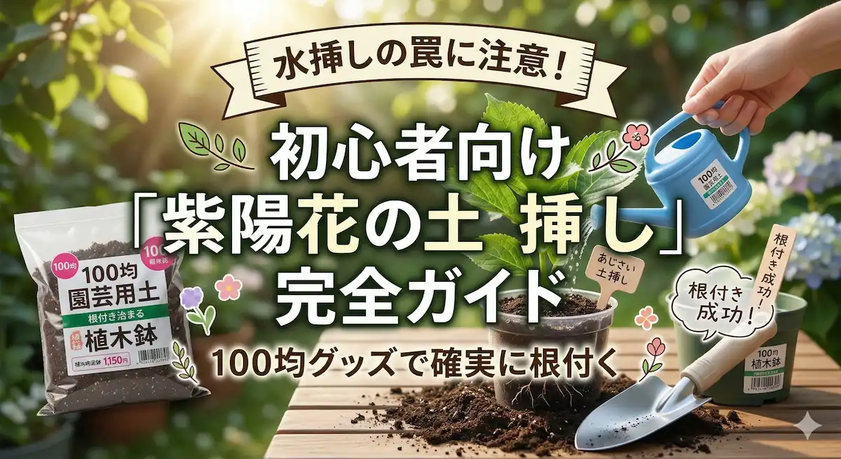 紫陽花の挿し木について解説する記事のアイキャッチ画像